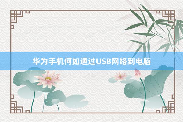 华为手机何如通过USB网络到电脑